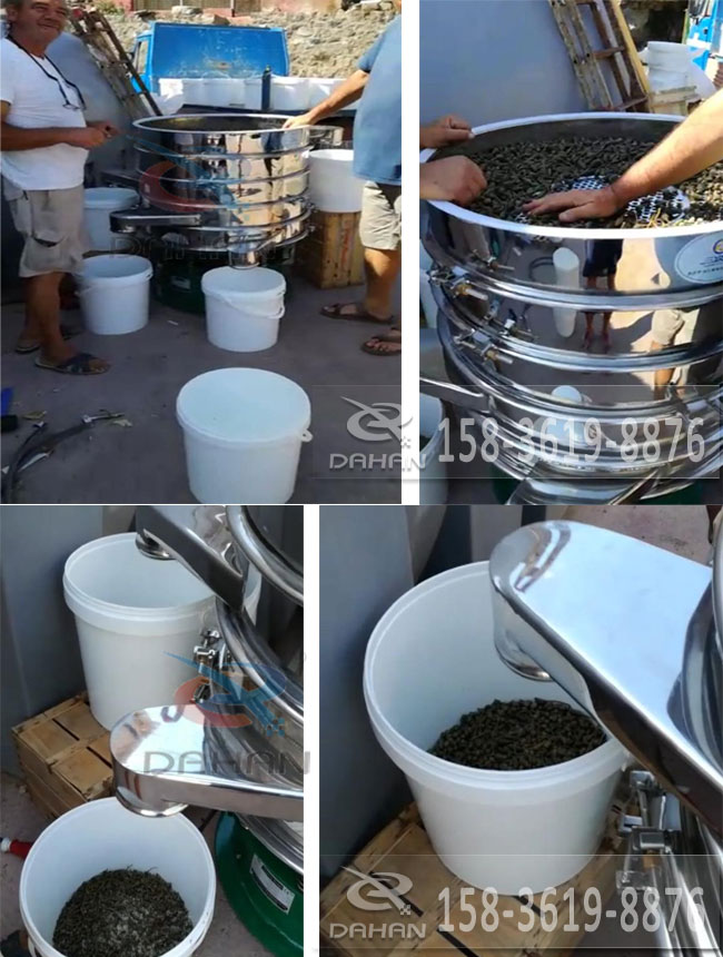 酸豆麻豆免费版免费下载分機試機效果展示